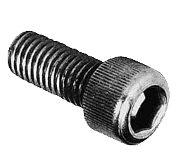 LC D1 SMALL SCREW